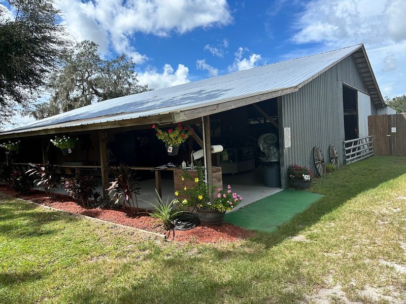 What to Expect When You Arrive