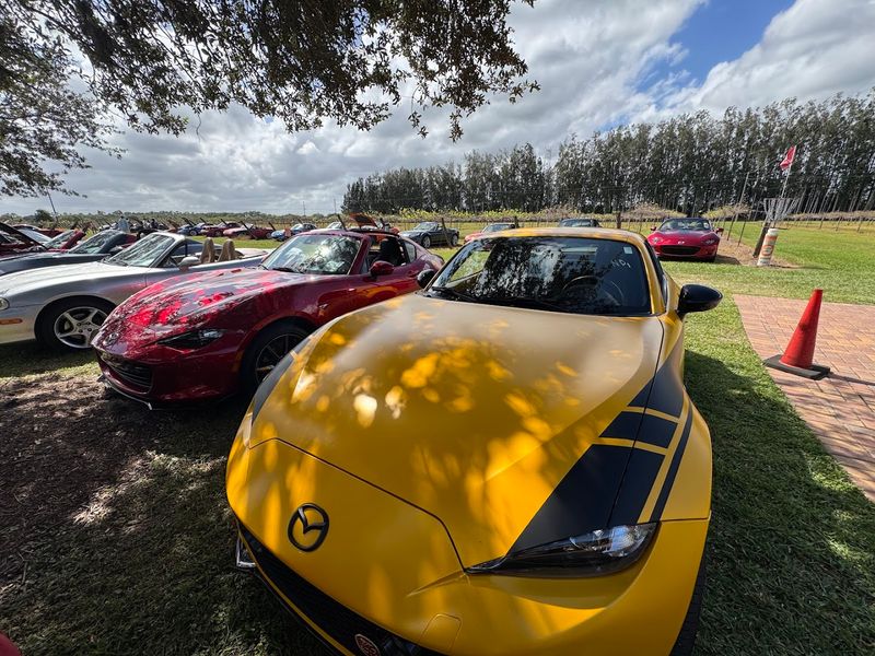 This Rustic Florida Vineyard Brings Together Wine Tastings and Live Music 9 Car Shows and Special Events That Draw Big Crowds