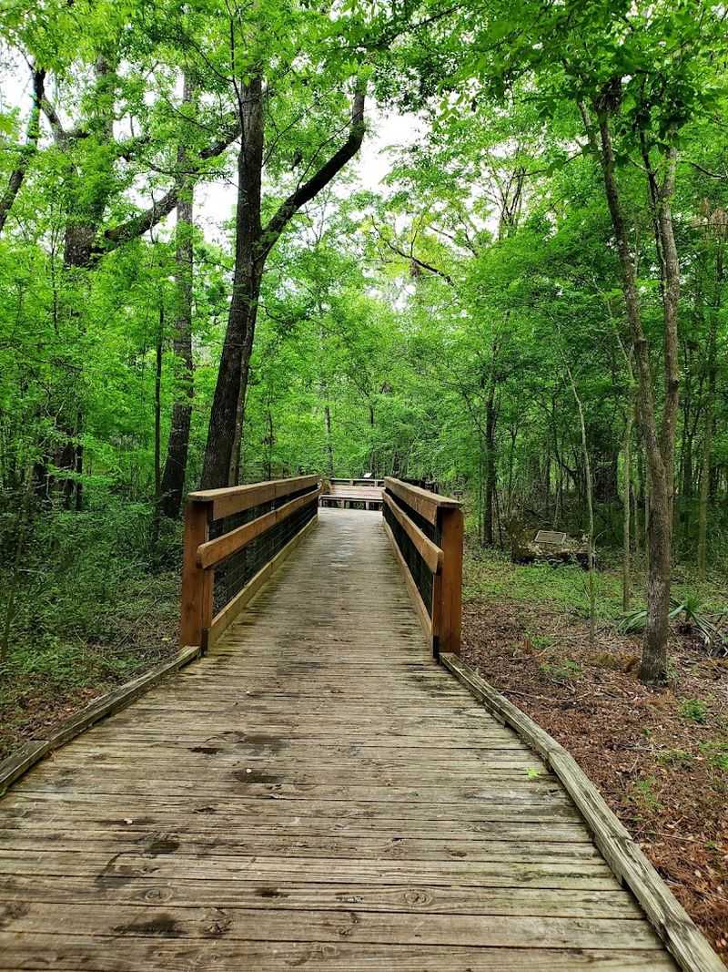 Nature Trails That Take You Through Old Florida Wilderness