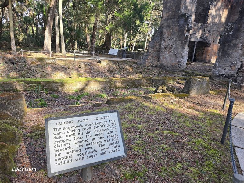 The Plantation House Foundation Outline