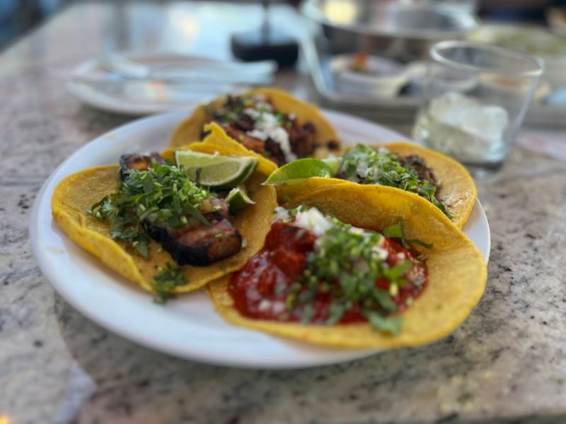 Gallo Blanco - Phoenix, Arizona