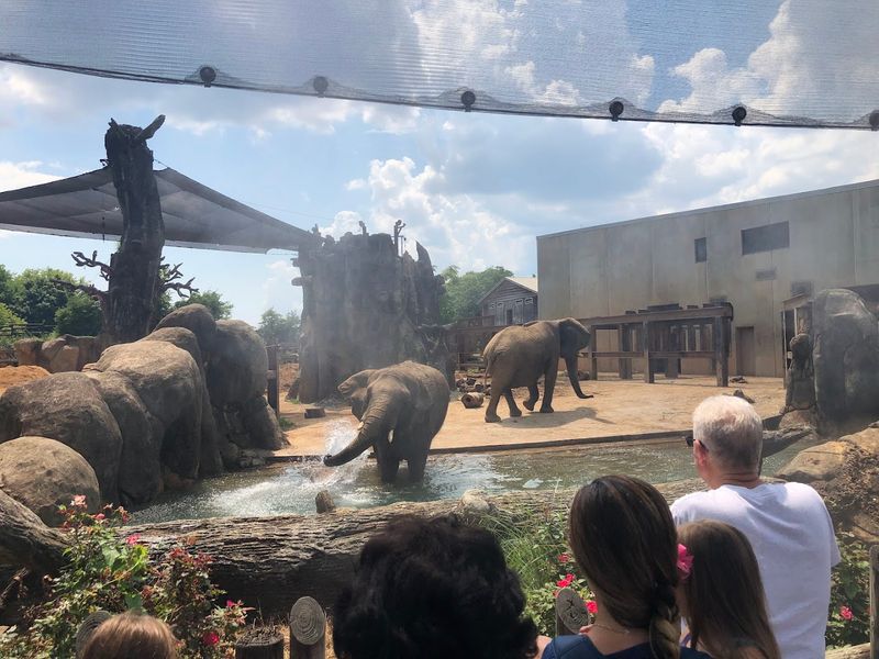 12 Tennessee Family Attractions That Can Fill a Full Day Without Overspending 3 Zoo Knoxville - Knoxville, Tennessee
