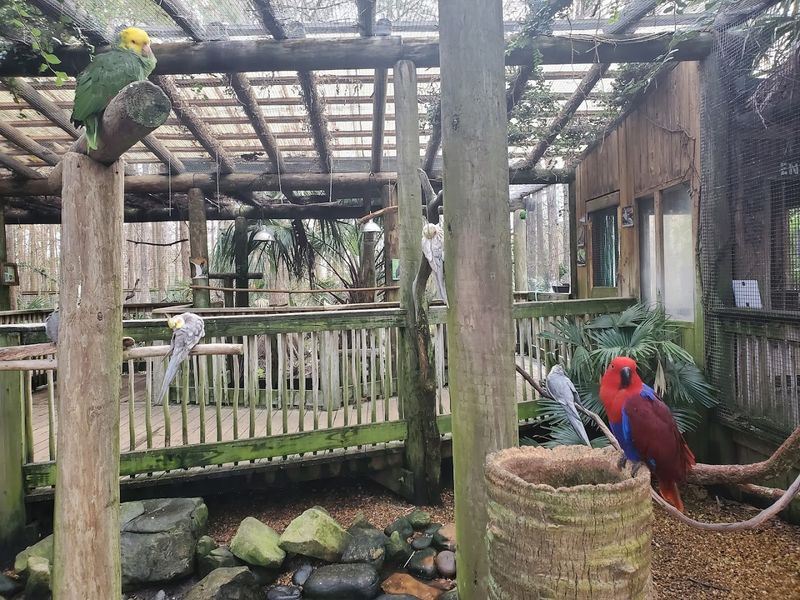 The Walk-Through Zoo and Animal Exhibits