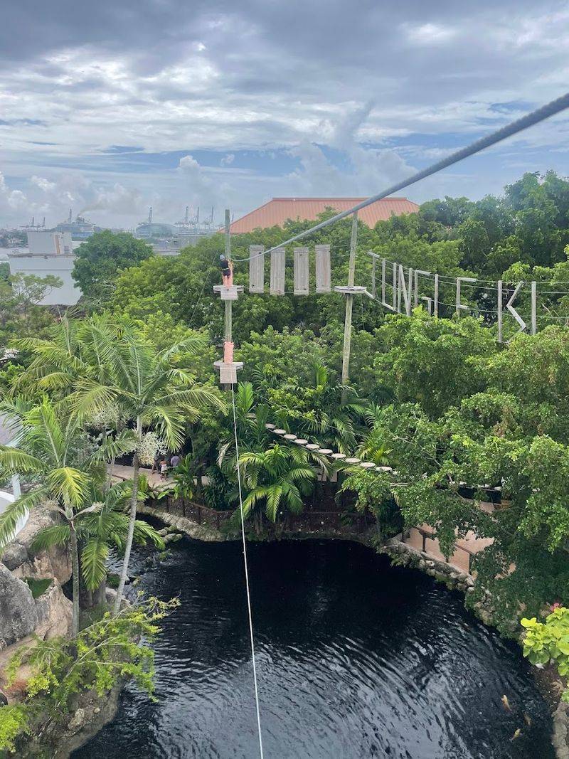 Treetop Trekking Adventure