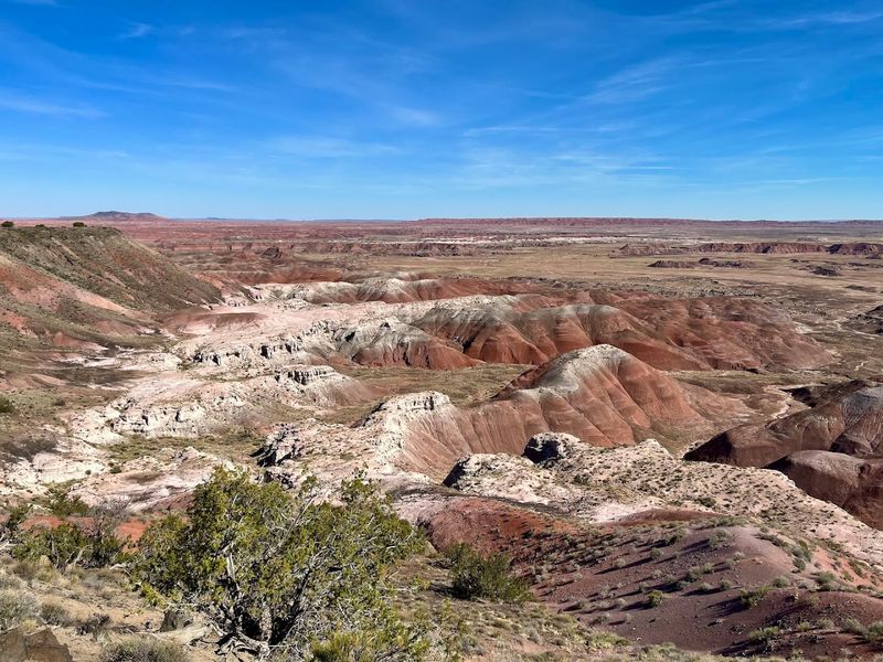 The Painted Desert Backdrop