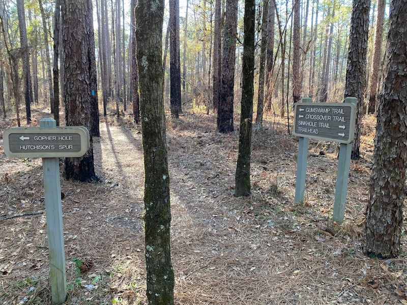 Practical Tips for Visiting Leon Sinks