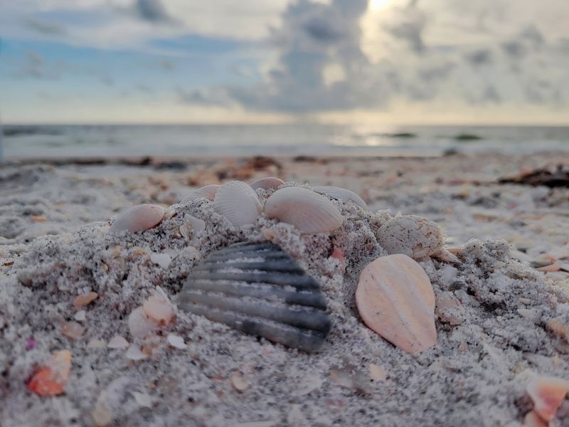 The quiet Florida island where time seems to slow down in the best possible way 3 Shell Hunting Along Beaches That Rival Sanibel Without the Crowds
