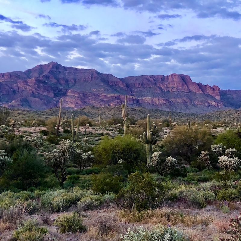 Spotting Wildlife Along the Way