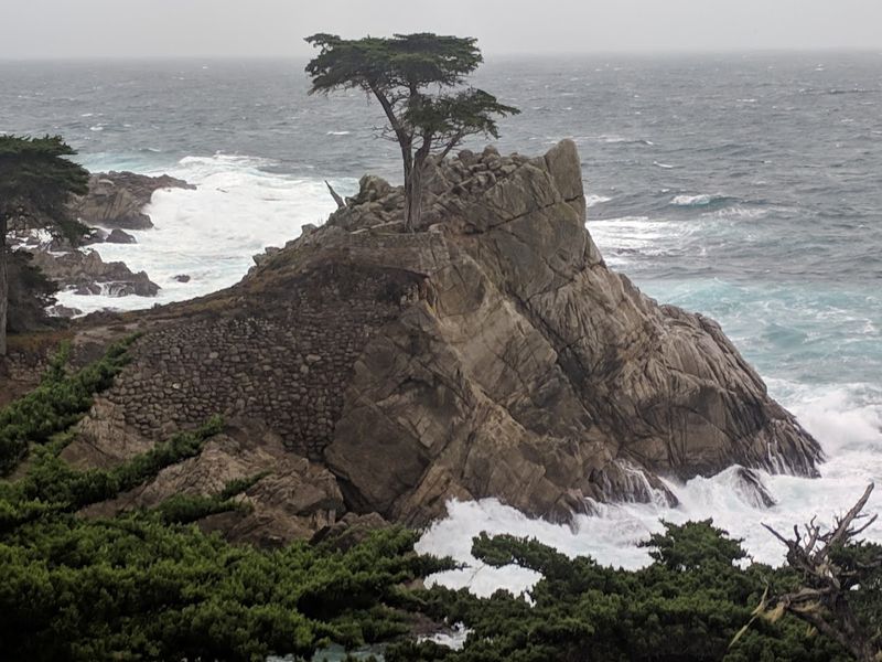Point Lobos State Natural Reserve: Nature at Its Most Dramatic