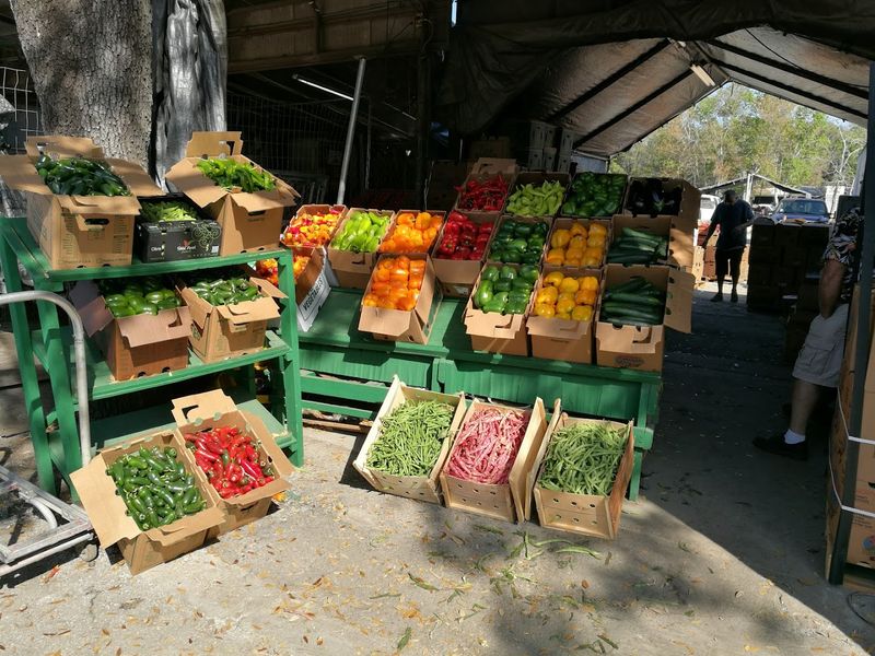 This Florida greenhouse destination is where plant lovers go when basic garden centers no longer impress them 5 Wholesale Farmers Market Open to Everyone