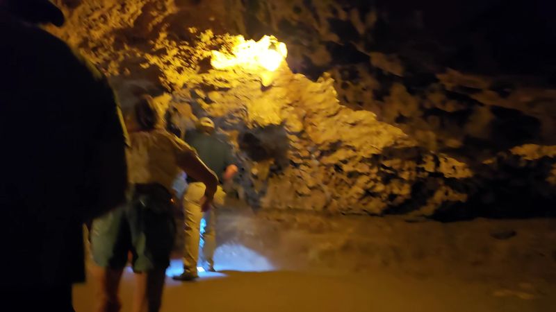 Spotting Bats Inside the Cave