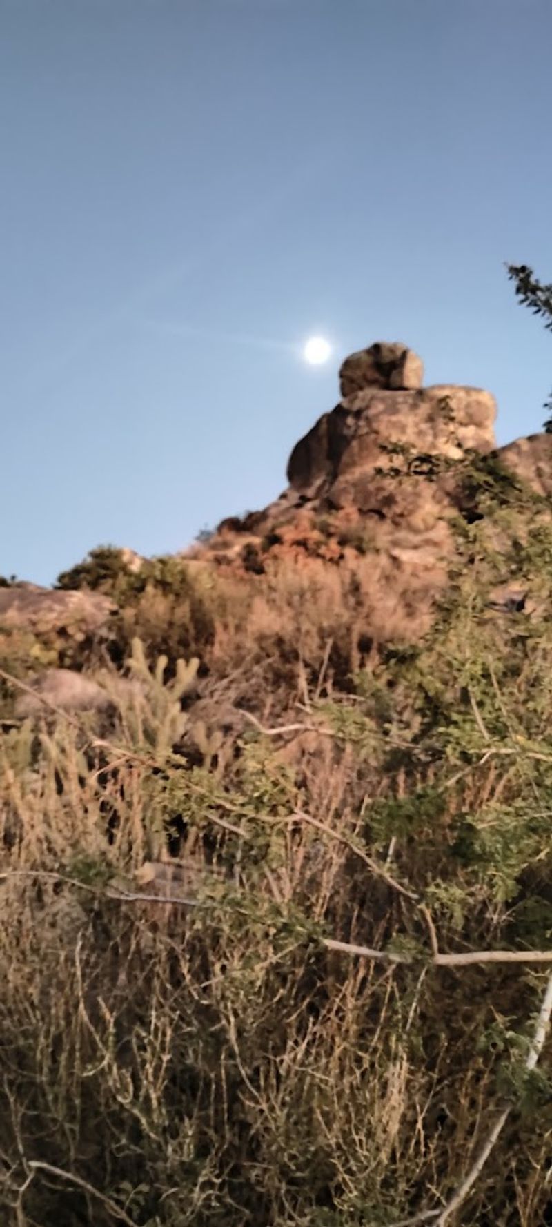 Old Tombstones and the Historic Cemetery