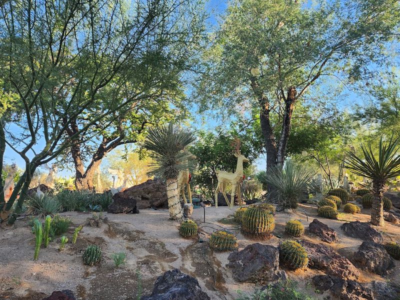 Perfect Hours for a Relaxed Morning Visit