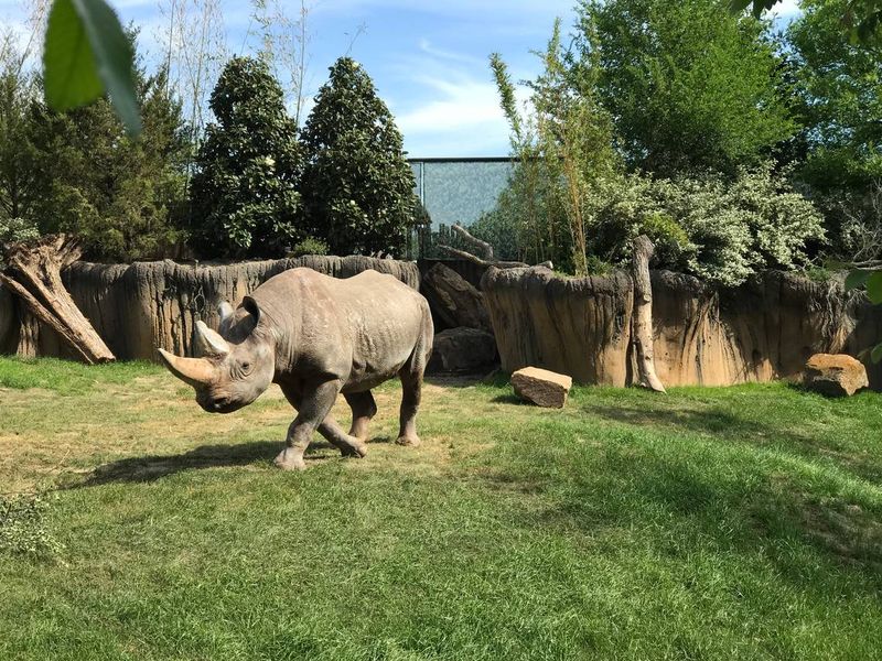 Fort Worth Zoo - Fort Worth, Texas