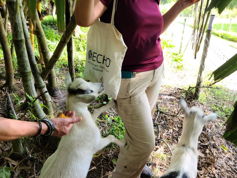 This Florida greenhouse approach helps gardeners grow more with less stress 13 Family-Friendly Learning That Makes Kids Excited About Growing Food