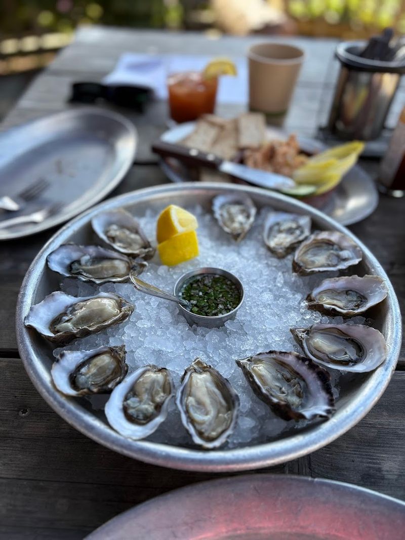 Raw Oysters Straight From Tomales Bay