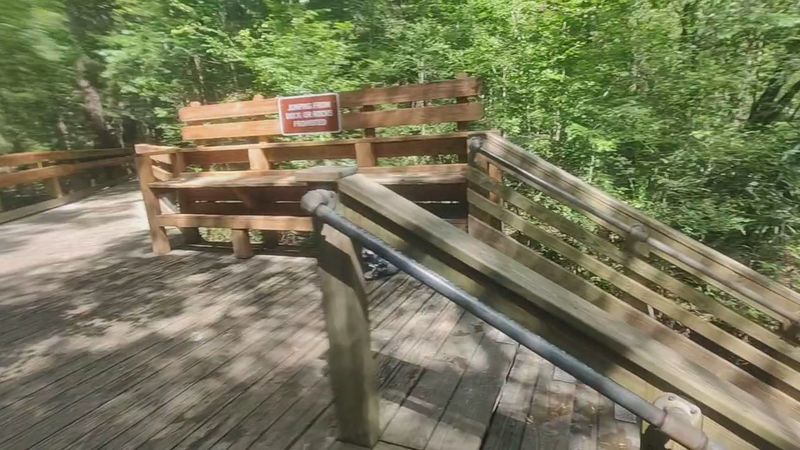 Park Amenities and What to Realistically Expect When You Arrive