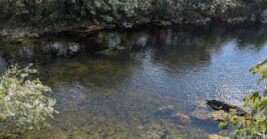 The Florida nature spot where every walk feels like stepping into the state’s wild side