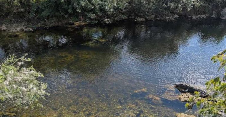The Florida nature spot where every walk feels like stepping into the state’s wild side