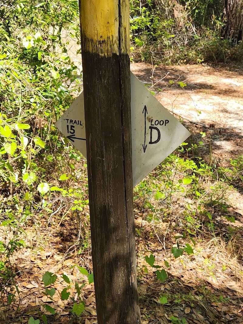 The Fork in the Trail — Don't Miss the Zag Left