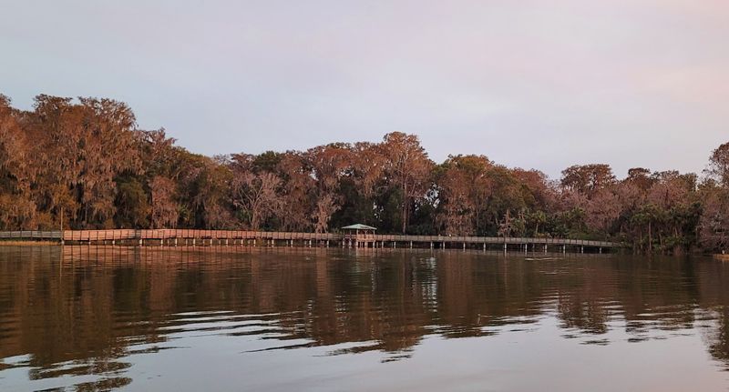 Easy Day Trips and the Surrounding Central Florida Countryside