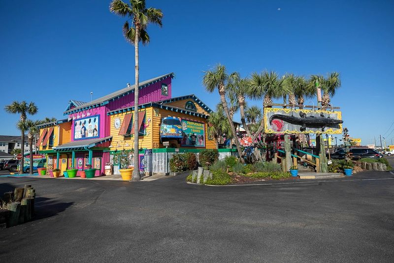 A Family-Friendly Atmosphere With Something for Every Age