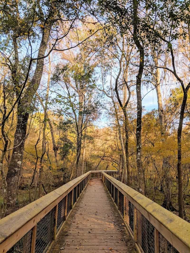 Seasonal Visits: Every Time of Year Brings Something New to Discover