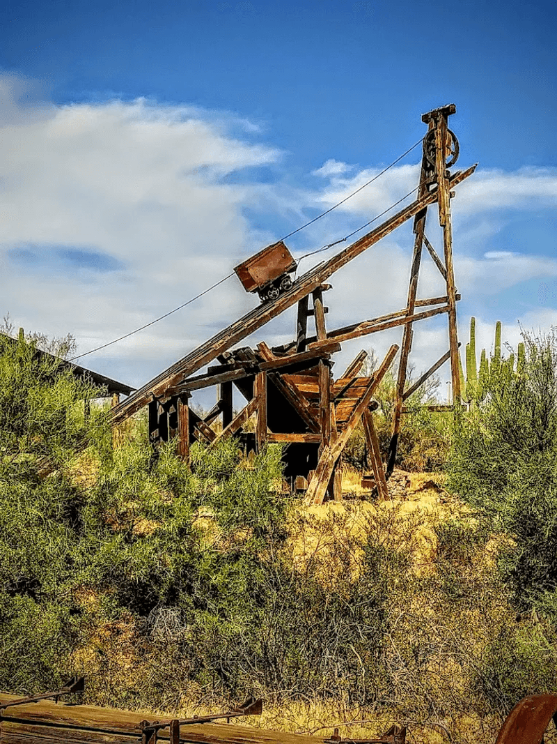 Gold Panning Experience