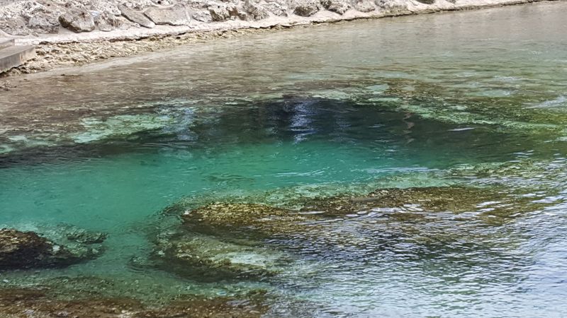 Blue Hole Spring: The Park's Most Jaw-Dropping Secret