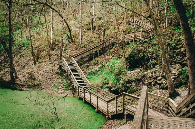 The Sinkhole Itself: A Geological Marvel Hiding in Plain Sight