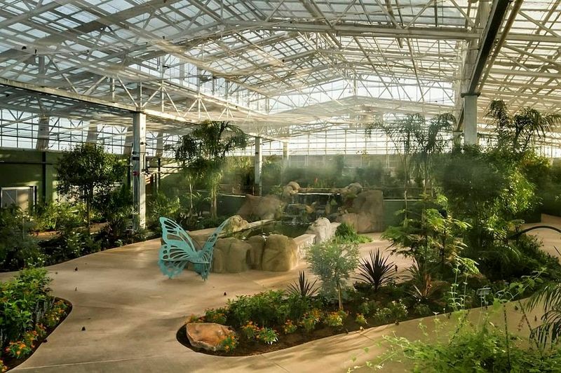 A Rainforest Oasis Hidden in the Arizona Desert