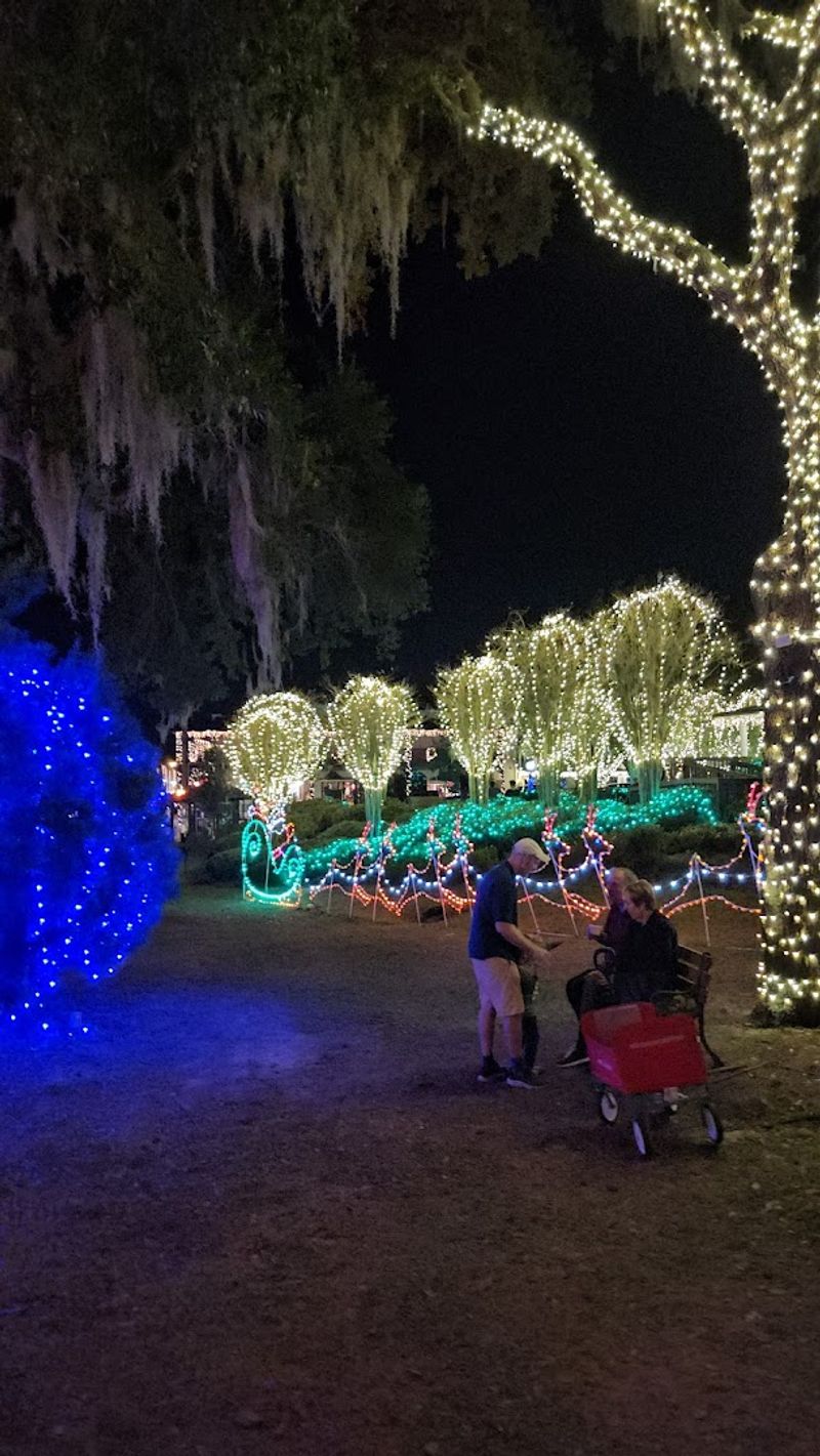 Christmas Lights and Holiday Magic