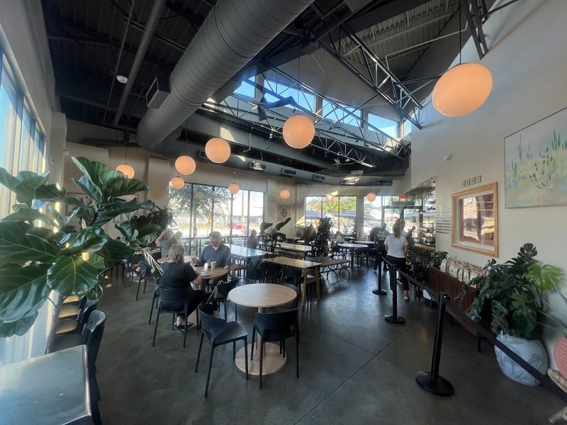 An Atmosphere That Feels Warm, Casual, and Full of Energy