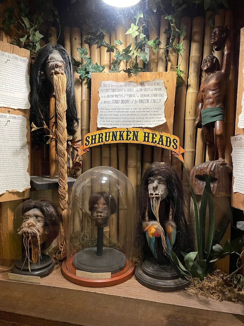The Shrunken Heads Collection