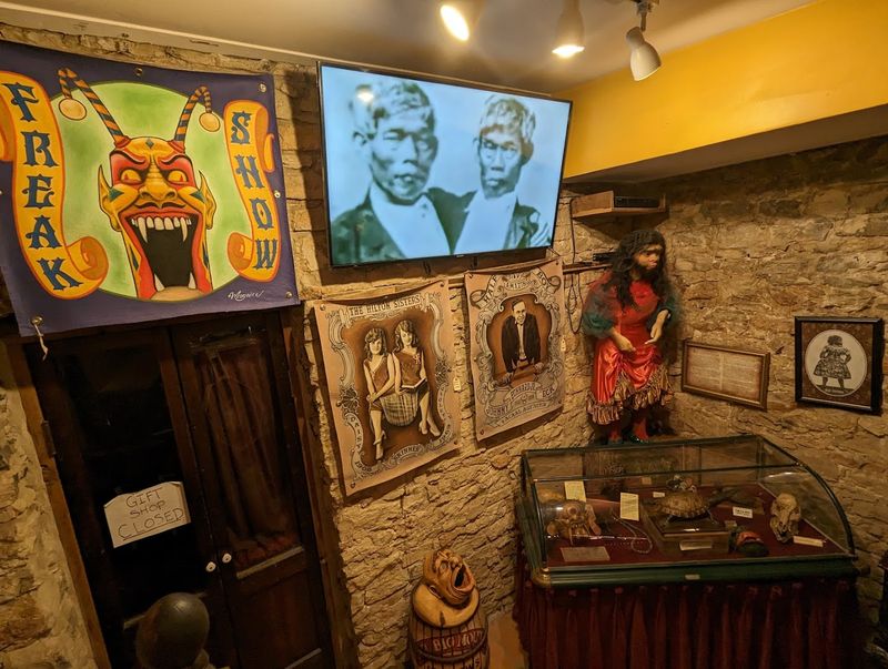 The Fiji Mermaid and Sideshow Oddities