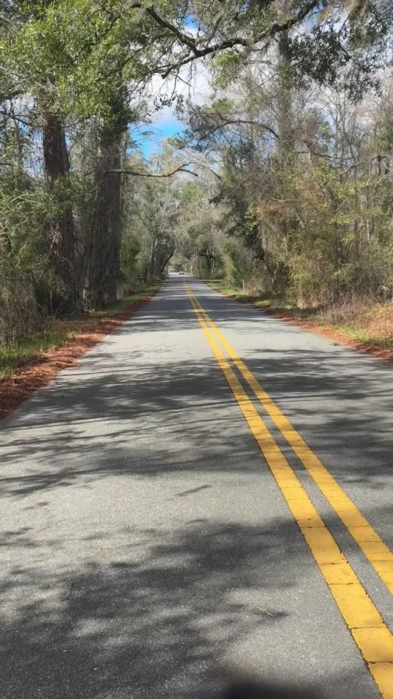 Nearby Wacissa River Springs