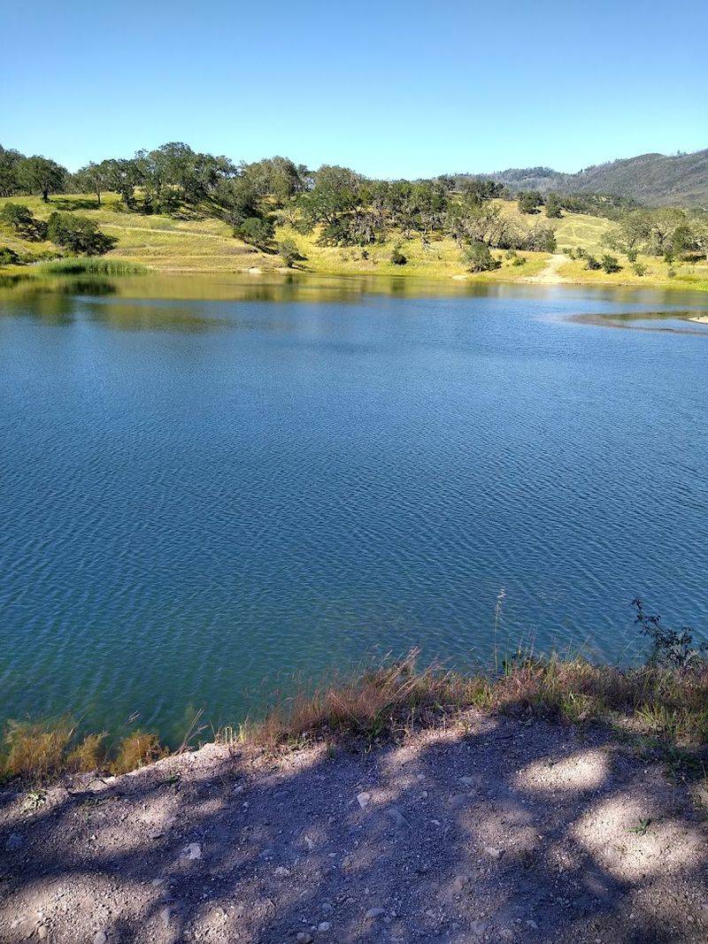 This quiet California wine country spot feels like a secret people are struggling not to share 11 Wildlife and Nature Watching in the Valley