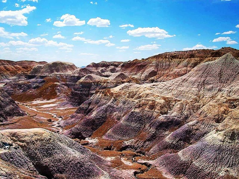 Triassic Fossils Hidden in Plain Sight