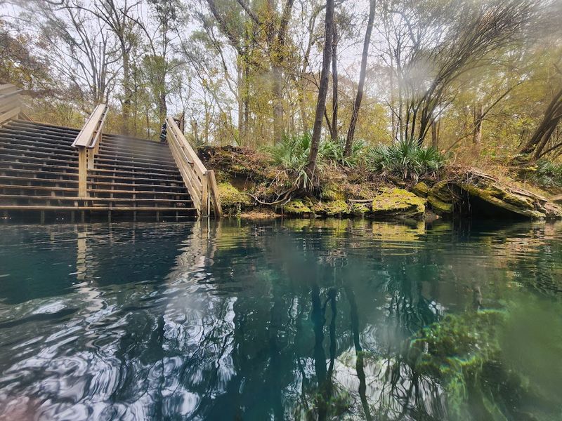 Why Peacock Springs Deserves a Spot on Every Florida Adventure List