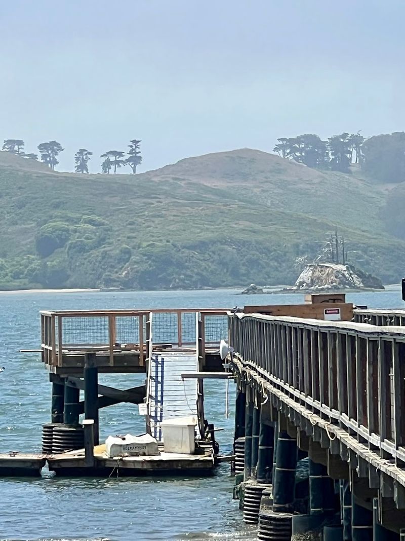 Nick's Cove - Marshall, California