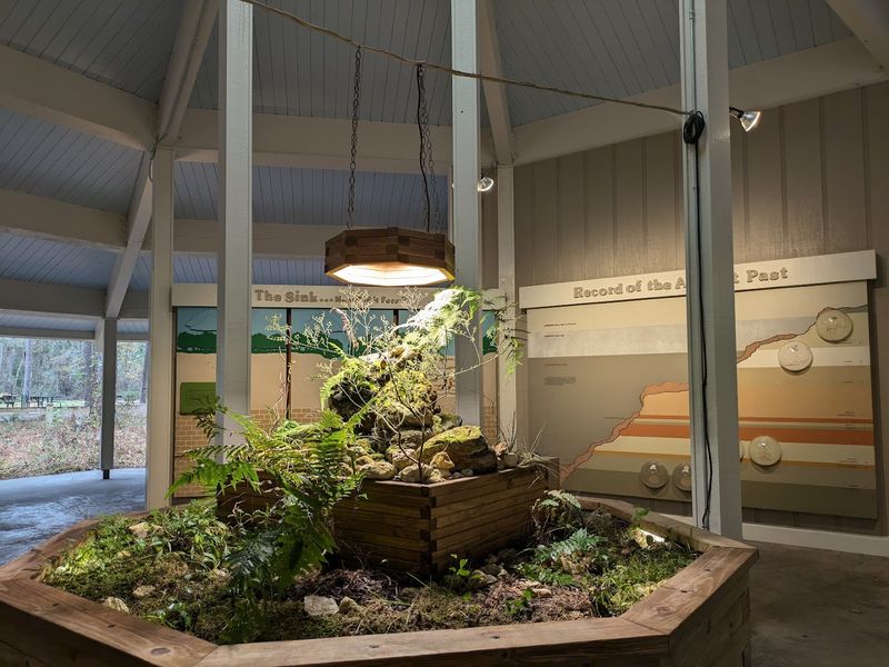 The Visitor Center: Where Science Meets Storytelling