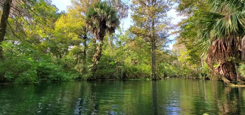 Camping at Silver Springs