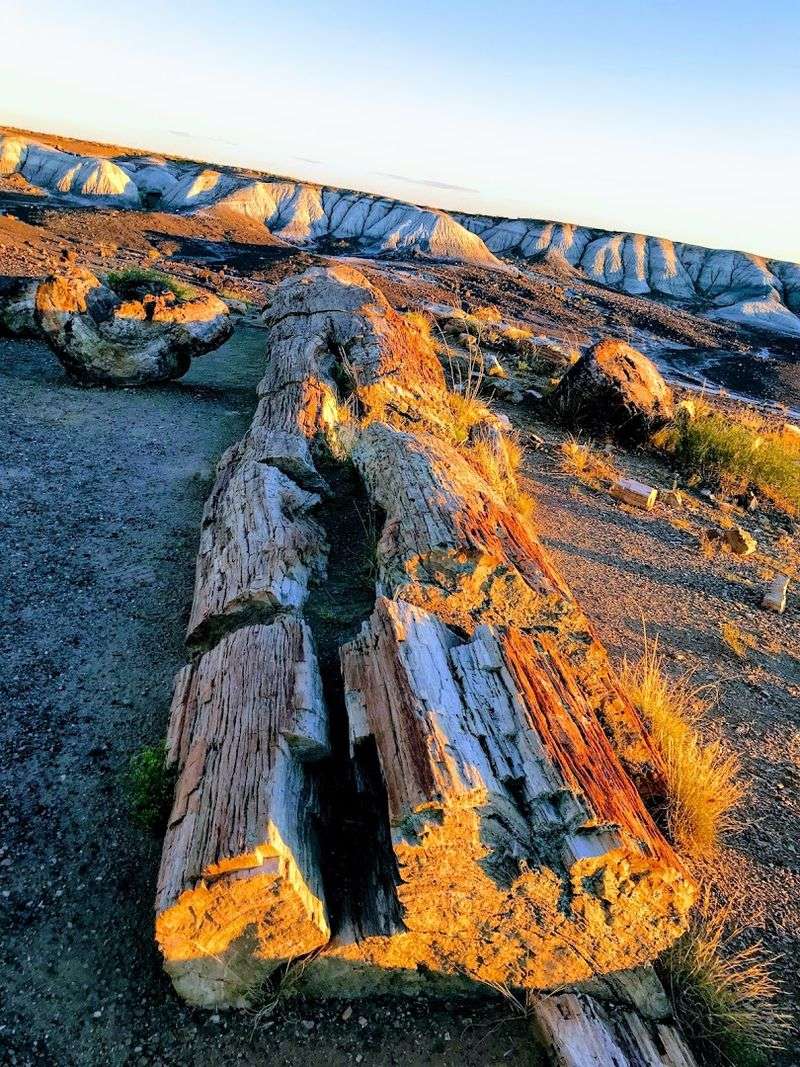 Tips for Getting the Best Photos