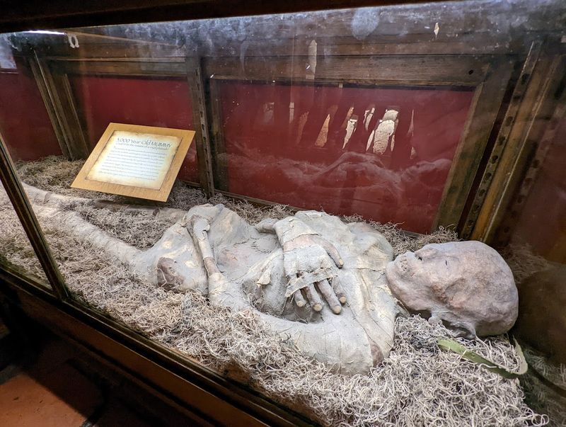 The Minnesota Iceman Exhibit