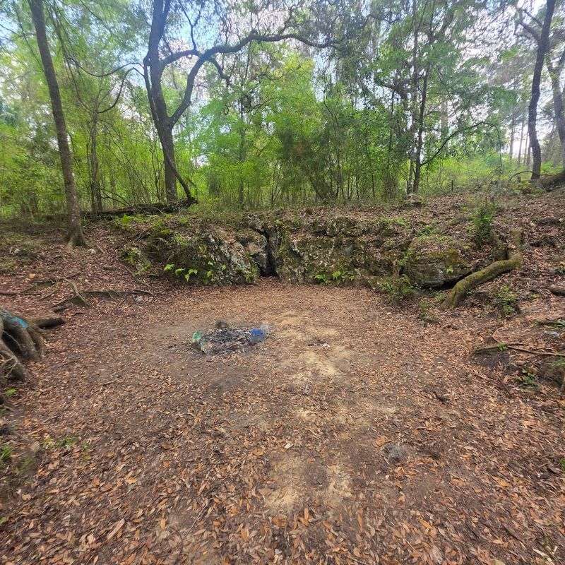 This Florida Cave Trail Offers a Thrilling Hike for the Whole Family 10 Operating Hours and Best Times to Visit