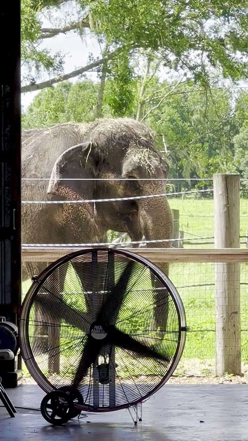 Rise and Shine Caretaker Tour: Morning Magic