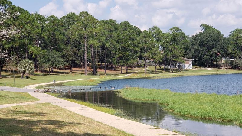 This quiet Florida gem is winning over visitors without trying to be flashy 11 Wildlife and Nature Trails for Outdoor Enthusiasts