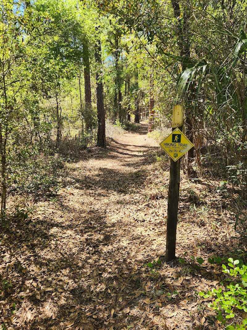 Trail 15 — The Northern Corridor