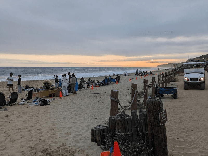 Getting There: Parking, Shuttles, and the Walk Down