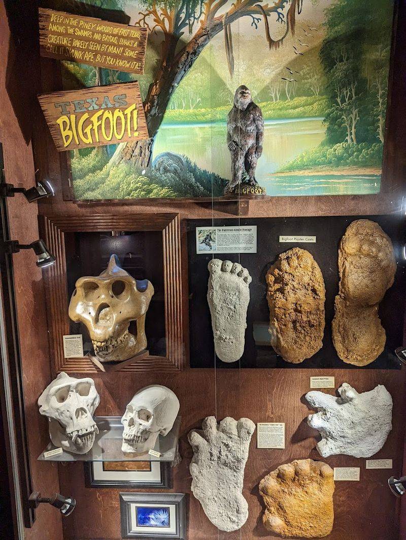 Bigfoot Footprints and Cryptid Memorabilia
